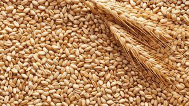 Fıtır sadakası nedir