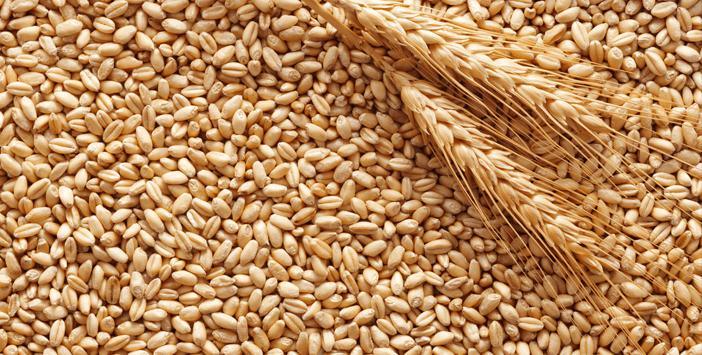 Fıtır sadakası nedir