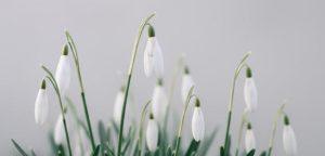 Îman Nîmetinin Bedeli Nedir?