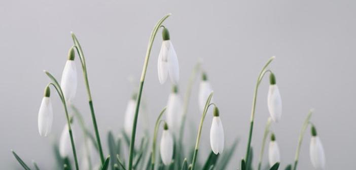 Îman Nîmetinin Bedeli Nedir?