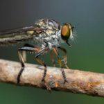 Bir Sinegin Gozunden Ibretlik Manzaralar