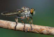 Bir Sinegin Gozunden Ibretlik Manzaralar