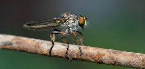 Bir Sinegin Gozunden Ibretlik Manzaralar