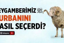Peygamber Efendimiz Kurbanını Nasıl Seçerdi